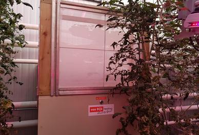 Phil Tiemstra: ‘Growing vegetables at -30°C works just fine with LED and AVS’